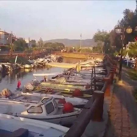 Отель Shadow 3*